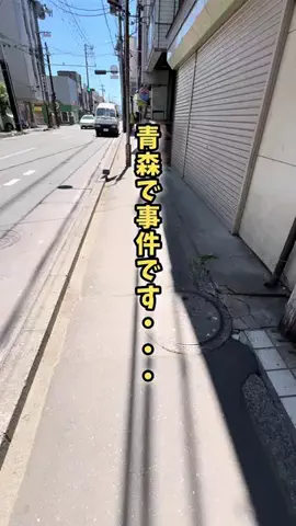青森情報局 |青森をバズらせる総合メディアのTikTok投稿