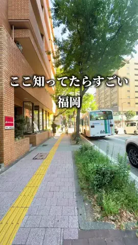 さくら⌇福岡グルメのTikTok投稿