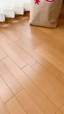 ひろのTikTok投稿