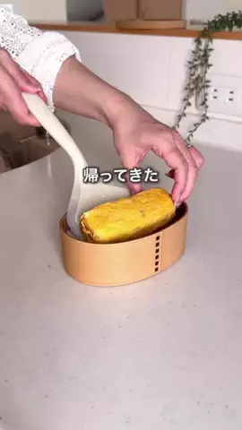 ハレ弁のTikTok投稿