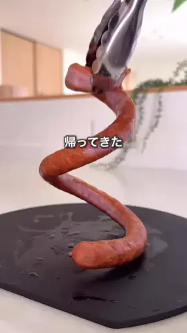 ハレ弁のTikTok投稿