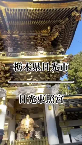 茨城と栃木の県境に住んでいますのTikTok投稿