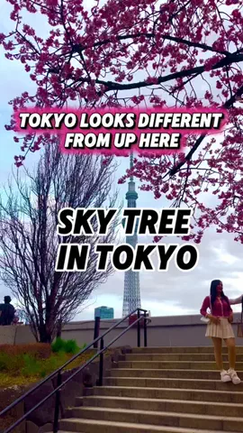茨城と栃木の県境に住んでいますのTikTok投稿