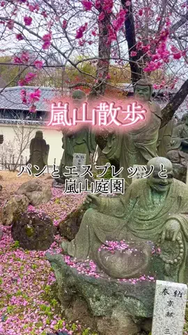 茨城と栃木の県境に住んでいますのTikTok投稿