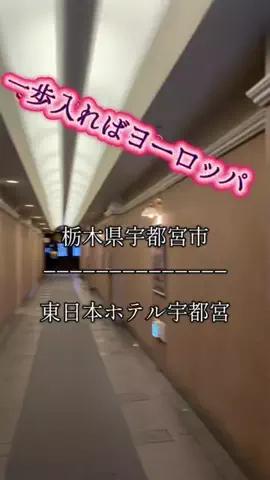 茨城と栃木の県境に住んでいますのTikTok投稿