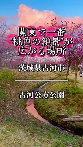 茨城と栃木の県境に住んでいますのTikTok投稿