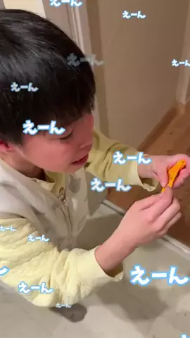 自閉症の可愛い息子♡のTikTok投稿