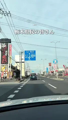 あいペコ￤栃木デート&グルメのTikTok投稿