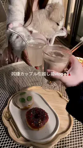 YUUのTikTok投稿
