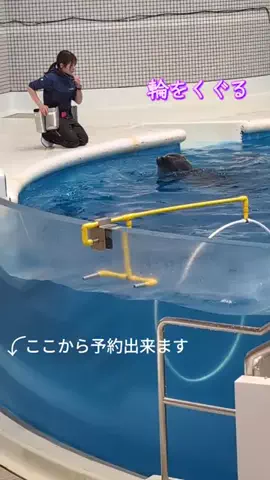 コウジのTikTok投稿