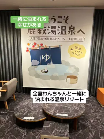 ポイけしき♨️宿図鑑のTikTok投稿