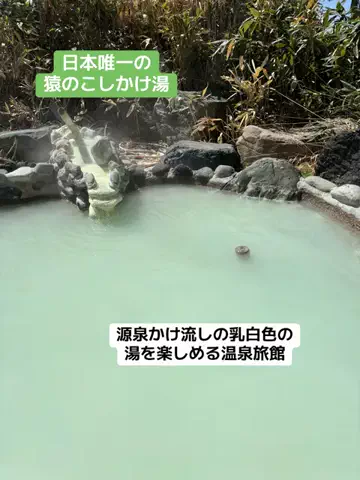 ポイけしき♨️宿図鑑のTikTok投稿