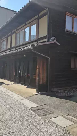 R I O N AのTikTok投稿