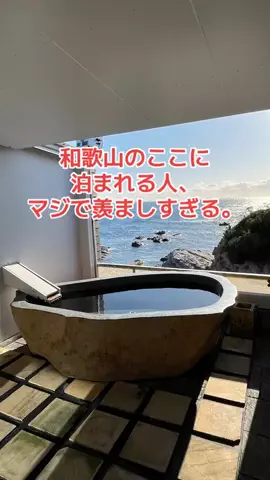 野良猫　イチくんとナナちゃんのTikTok投稿