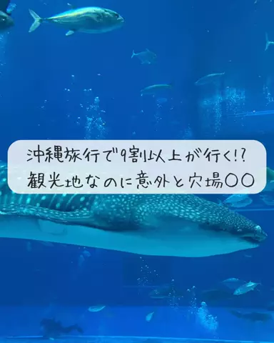 Luna＊旅とTOKACHIメモのTikTok投稿