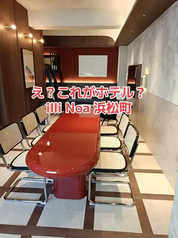 野良猫　イチくんとナナちゃんのTikTok投稿