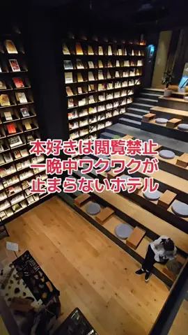 野良猫　イチくんとナナちゃんのTikTok投稿