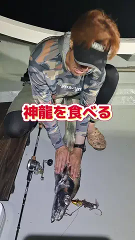広島たにさんのぼれやびゃー動画のTikTok投稿