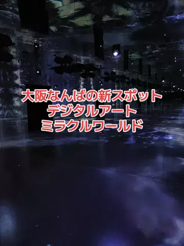野良猫　イチくんとナナちゃんのTikTok投稿