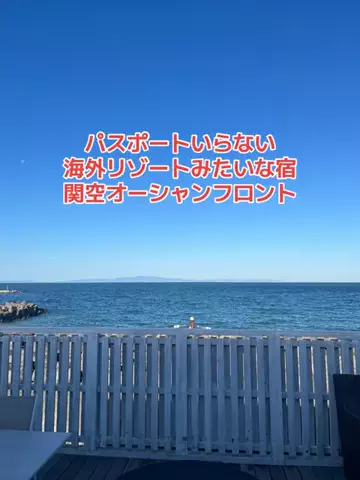 野良猫　イチくんとナナちゃんのTikTok投稿
