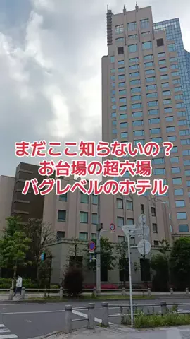 野良猫　イチくんとナナちゃんのTikTok投稿