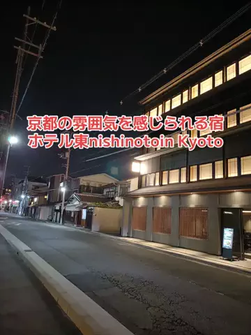 野良猫　イチくんとナナちゃんのTikTok投稿