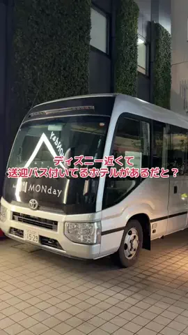 野良猫　イチくんとナナちゃんのTikTok投稿