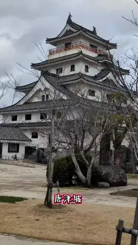 たちのTikTok投稿