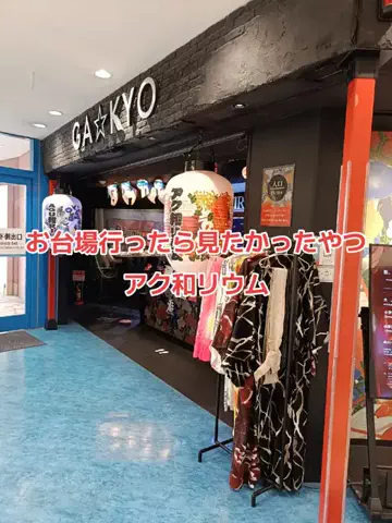 野良猫　イチくんとナナちゃんのTikTok投稿