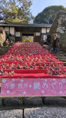 たちのTikTok投稿