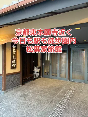 野良猫　イチくんとナナちゃんのTikTok投稿