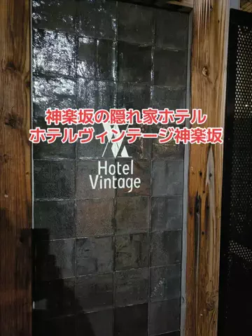野良猫　イチくんとナナちゃんのTikTok投稿