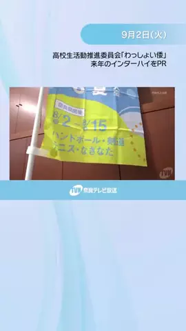 奈良テレビNEWSのTikTok投稿