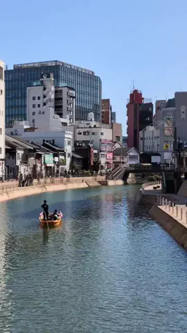 たちのTikTok投稿