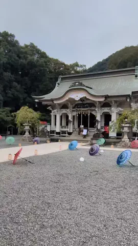 たちのTikTok投稿