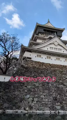 たちのTikTok投稿