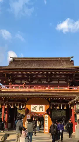 たちのTikTok投稿