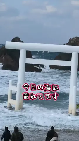 たちのTikTok投稿
