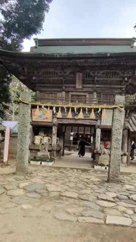 たちのTikTok投稿