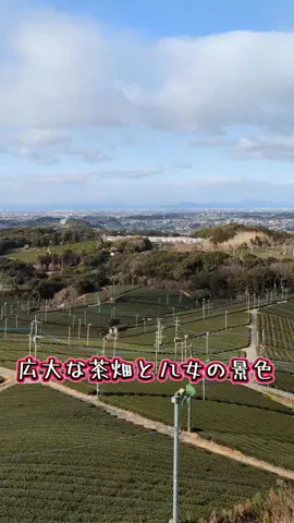 たちのTikTok投稿
