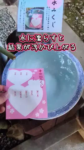 たちのTikTok投稿