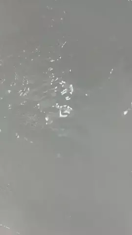 𝑚𝑎𝑦𝑢のTikTok投稿