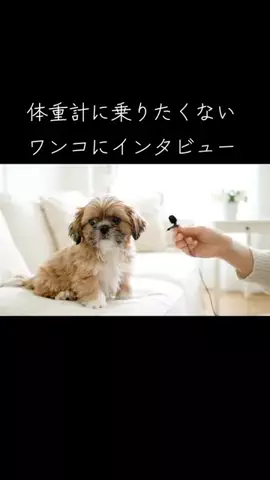 犬猫総合製薬株式会社のTikTok投稿