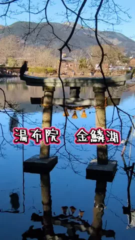 たちのTikTok投稿