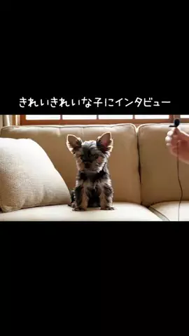 犬猫総合製薬株式会社のTikTok投稿