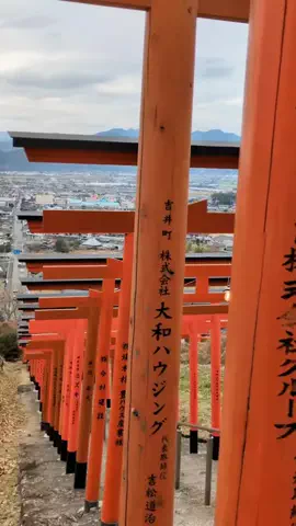 たちのTikTok投稿