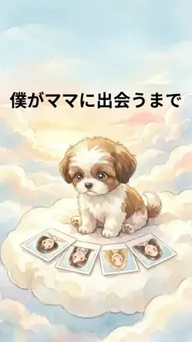 犬猫総合製薬株式会社のTikTok投稿