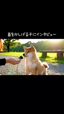 犬猫総合製薬株式会社のTikTok投稿