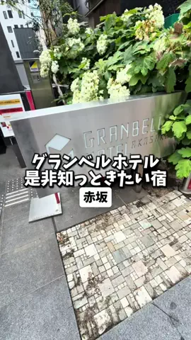 日本グルメのTikTok投稿