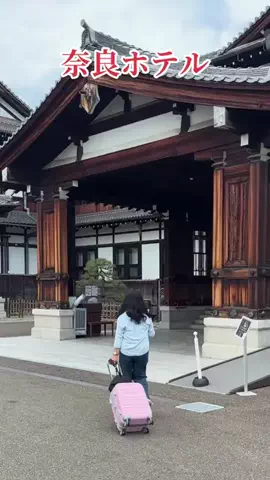 travel_diary_kouchanのTikTok投稿